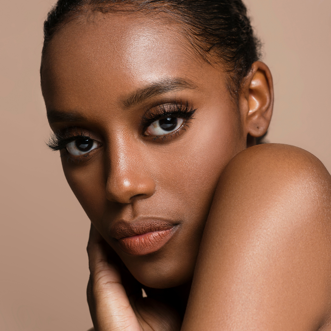 Brow Wonder + 10 shapes & 2 brushes