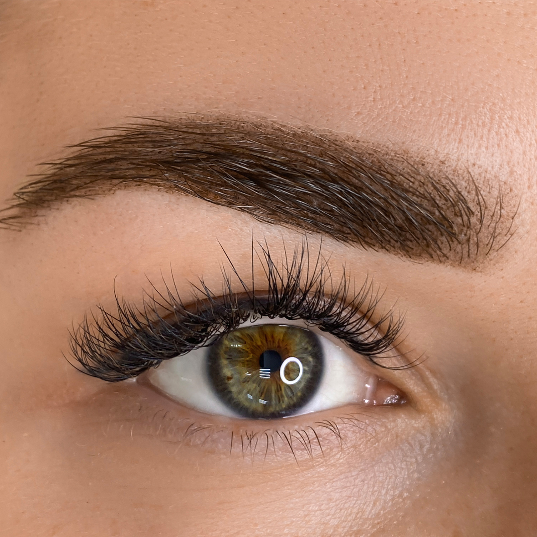 Brow Wonder + 10 shapes & 2 brushes
