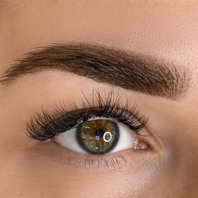 Brow Wonder + 10 shapes & 2 brushes